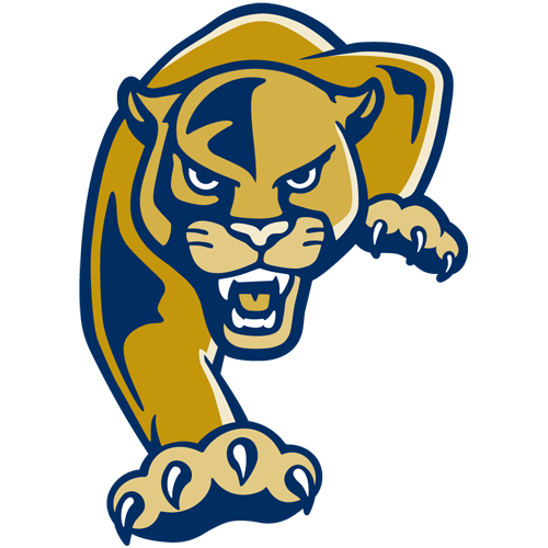 teamlogo